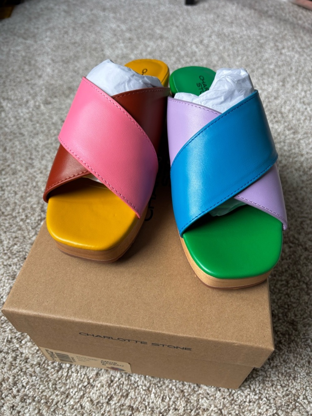 Charlotte Stone Amos Clog in Nassau Colorway, size 6